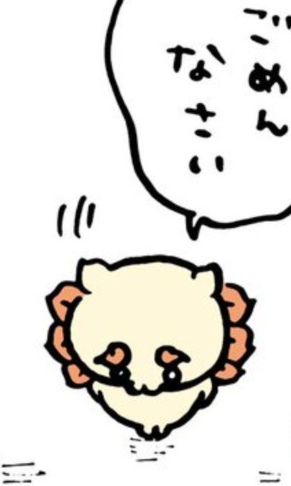 8shya24shy's tweet photo. 공통점: 미안하다고 말하고 둘다때지임 https://t.co/L2Olj8odY4