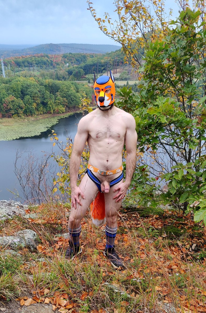 YiffyFox91's tweet photo. Foxy out for fall🦊🍂 #jocktober 11of31 #jockstrap #puphood #furrytail #fitfox https://t.co/wuZw7OcoK4