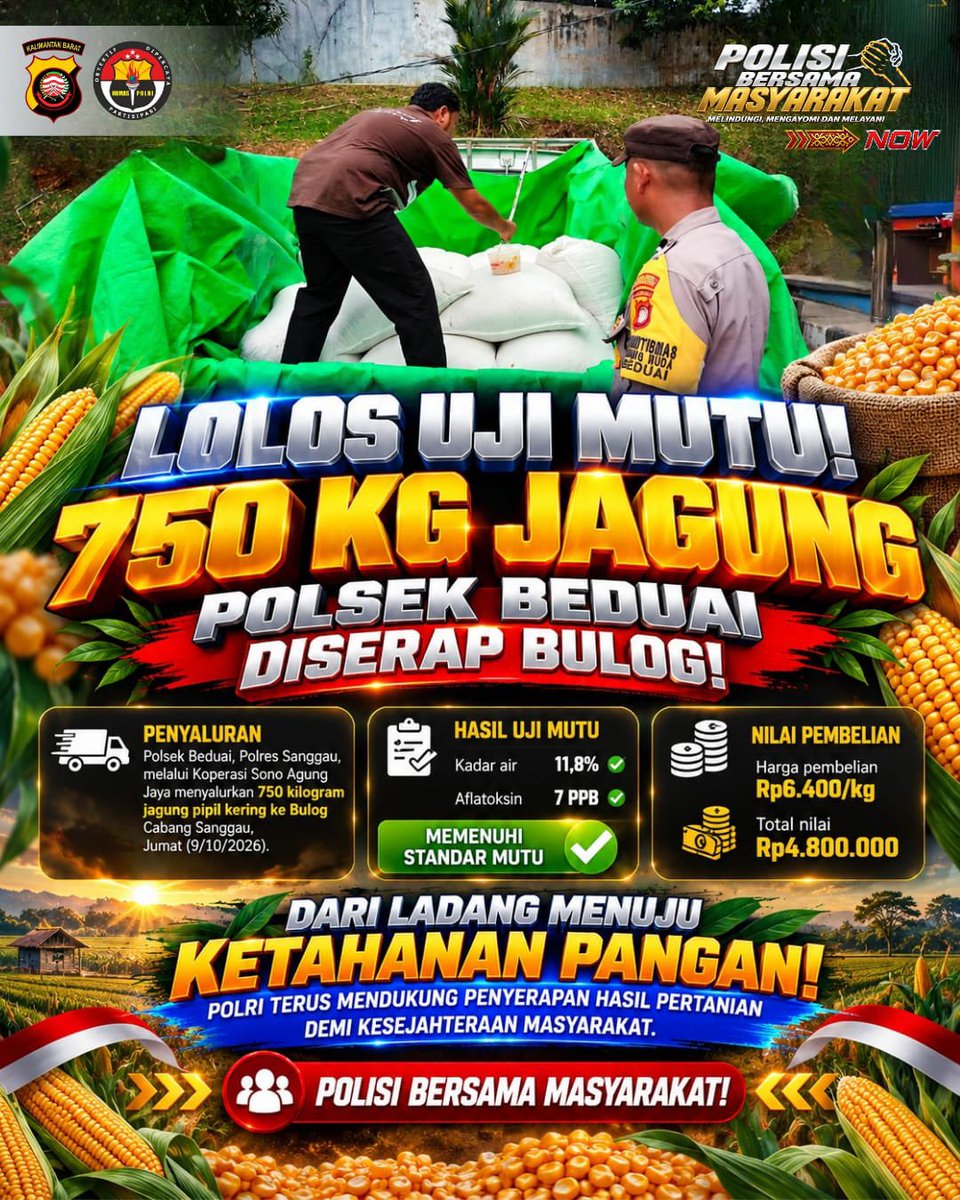 BidhumasKalbar's tweet photo. 🌽 LOLOS UJI MUTU! 750 KG JAGUNG POLSEK BEDUAI DISERAP BULOG! 👮‍♂️🌾

Polsek Beduai, Polres Sanggau, melalui Koperasi Sono Agung Jaya menyalurkan 750 kilogram jagung pipil kering ke Bulog Cabang Sanggau, Jumat (9/10/2026). https://t.co/869NwOkwI9
