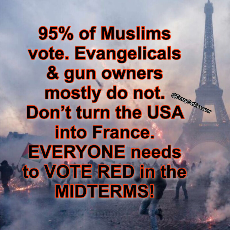 Jessies_Too's tweet photo. You can't afford to sit this one out!!! Preserve the 
freedoms you already enjoy &amp; get ready for an
age of prosperity!! 

Vote RED down ballot in the Midterms!! 🇺🇸♥️ https://t.co/85uF9gSW9U