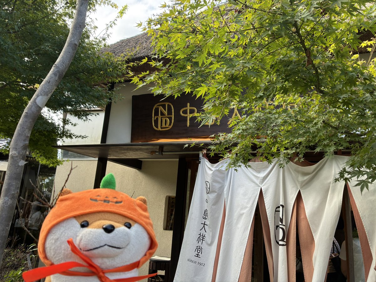 mikans01's tweet photo. このあとはゆめタウンを見たり、フレッシュバザール（地域のスーパー）を見たり
ゆめタウン久々で嬉しかった〜✨

丹波焼陶器祭り、一般で行くとあんなに入れないなんて思わなかった（実家がお手伝いしてるので親と行くと別ルートで入れていた
各地から沢山来て下さるなんて、本当にありがたいことです https://t.co/u09REMnTJ9