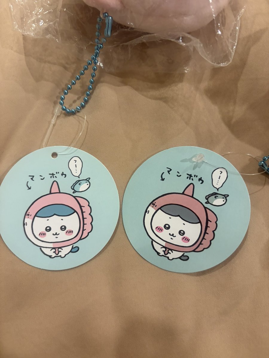 Ploysintheocean's tweet photo. เห็นประเด็นเรื่องกู๊ดส์ Chiikawa ว่ามีของปลอมระบาดบ่อยมาก ปกติไม่ว่าจะเก็บกู๊ดส์นี่เองค่อนข้างจะระมัดระวังเวลาเลือกลิงก์กดเมอ ยังไม่เคยเจอของปลอมเลย แต่ด้วยความที่เราเองก็ยังใหม่กับการเก็บกู๊ดส์ด้อมนี้มากๆ ช่วงต้นเดือนที่ผ่านมาเลยลองกลั้นใจซื้อพวงกุญแจอควาเรียมฮัจจังของปลอมมา ซึ่งเป็น 1 ในงานที่ชอบที่สุดมาดูด้วยตาเนื้อให้รู้แล้วรู้รอด

ในรูป ด้านซ้ายคือของปลอม ด้านขวาคือของจริง 
- ตัวตุ๊กตา ถึงดูผิวเผินจะคล้ายของจริง  แต่สำหรับคนเก็บกู๊ดส์คือสามารถดูออกในแว้บแรกเลย งานเย็บหน้าไม่ละเอียด ความสมมาตรของหน้าน้องสู้ของจริงไม่ได้เลย แต่สำหรับมักเกิลที่ไม่ตามเก็บกู๊ดส์เลย ในแว้บแรกอาจจะดูไม่ออก นี่ลองถามคุณสามีดู แว้บแรกคุณสามีบอกว่ามันก็เหมือนกันนะ แต่พอให้เพ่งดูดีๆถึงได้ดูออกว่าตัวนึงเป็นของปลอม
- ตัวป้ายและไข่ปลาค่อนข้างคล้ายกันมาก ต่างกันแค่ของปลอมป้ายสีอ่อนกว่า ถ้าคนไม่มีตัวเทียบก็อาจจะแยกไม่ออกเลย ส่วนตัวโซ่ไข่ปลาไม่ต่างกันเลย

พอดูเสร็จแล้วสบายใจเลย มันแบบไม่ได้เหมือนมากอย่างที่ใจคิด คือสำหรับคนเก็บกู๊ดส์ ไม่ว่ายังไงก็ดูออกแน่ๆ 

ใดๆคือไม่ว่าจะยังไงก็ยังคงสนับสนุนให้ทุกคนซื้อกู๊ดส์ของแท้ในทุกกรณี ของปลอมมันเท่ากับการละเมิดลิขสิทธิ์ ขโมยไอเดียคนอื่นเพื่อเอาหาเงิน ต่อให้จะทำออกมาเหมือนของแท้แค่ไหน สุดท้ายแล้วเราก็รู้อยู่แก่ใจว่ามันไม่ใช่ สู้เก็บเงินซื้อของแท้แล้วเก็บอย่างสบายใจหปเลยยังดีซะกว่า ยิ่งงานของ Chiikawa มีทางเลือกเยอะมาก ตุ๊กตามีจำหน่ายหลายไลน์ เรนจ์ราคาก็กว้างมาก เราสามารถเลือกตามงบที่สะดวกได้ เลยมองไม่เห็นสาเหตุที่ต้องตั้งใจซื้อของปลอมเลยจีจี 🥹