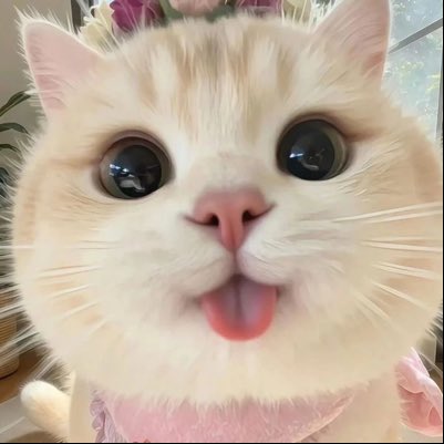 Cxrxlin3's tweet photo. #NewProfilePic https://t.co/HX7fU7bWdn