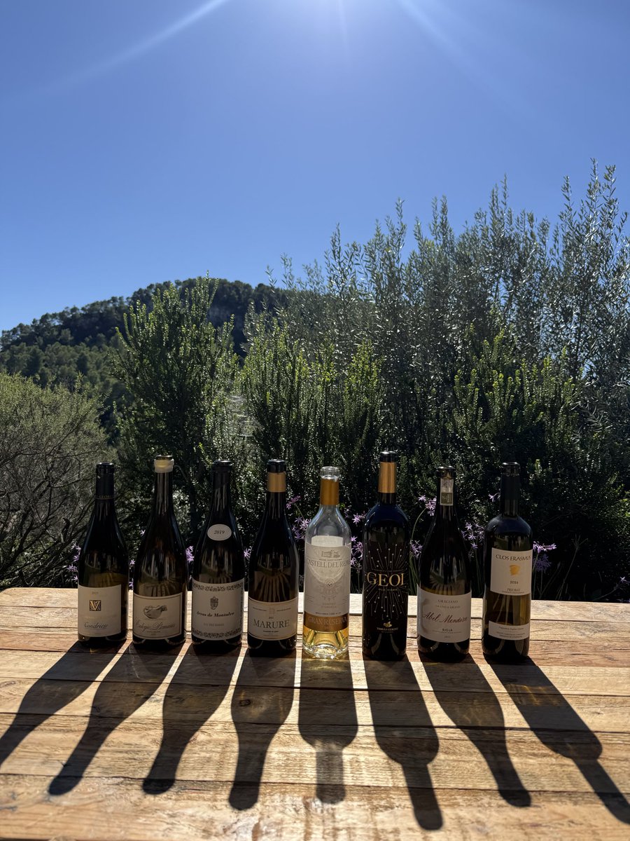 flogemba's tweet photo. Convención Comercial Catalunya 2026 | Una pasión compartida, grandes vinos y un equipo excepcional. 🍷
@vilaviniteca 
#vilaviniteca https://t.co/1qxxCnfnak