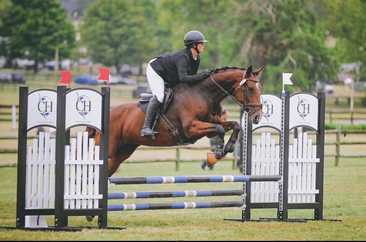 lisaky72's tweet photo. The very beautiful Synonymous has been doing amazing since she was adopted 2 years ago.
She has picked up ribbons at every event or show she has attended! https://t.co/BMCLtOO0qx