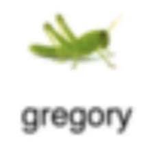 ThePocketmoth's tweet photo. Humans, I've discovered these low quality images of bugs with names
Society has truly reached amazing places and I'm wondered by it https://t.co/oXQzMYx1ig