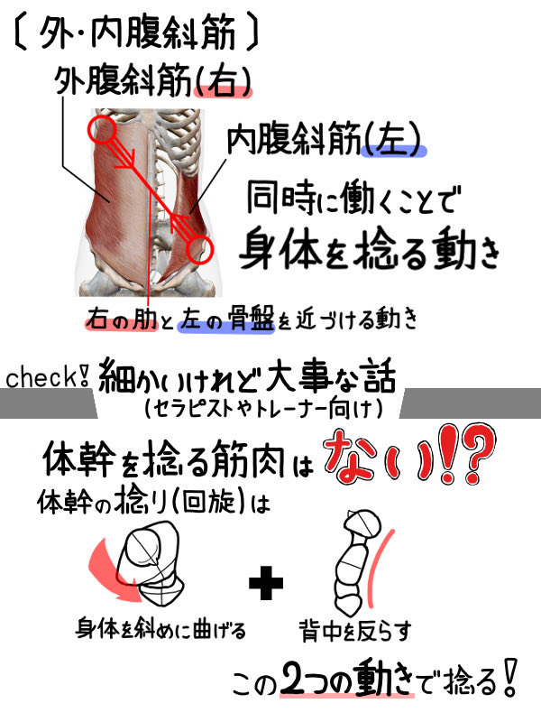 NakayosiHitori's tweet photo. 身体を捻る運動は、使う筋肉を意識するだけで効果が段違いになります！！！

『頭のてっぺんからお尻の先に一本軸が通ってるイメージ』で動かすのがコツ！

手に意識を持っていかれないように注意⚠️
胸の前を左右に振るイメージで動かすと、くびれを作るのに近道できますよ✨ https://t.co/7N6Kv3aWKr