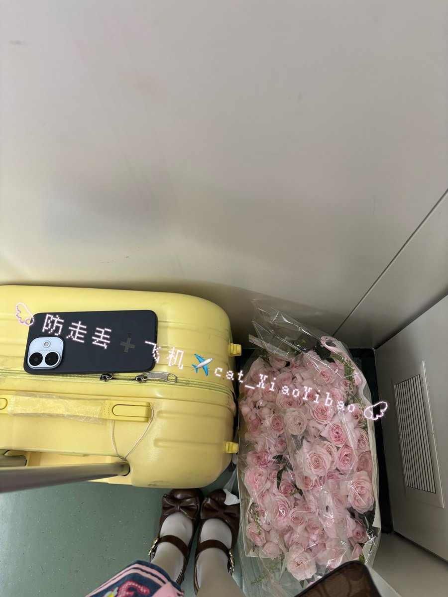 feliksbay's tweet photo. 我回西安啦啦啦
这花太太太漂亮啦  真的太喜欢了又特别香
店家还特别贴心的给了手提袋和塑料罩子 (ૢ˃ꌂ˂⁎)我直接把它带回西安啦
高铁安检的小姐姐也特别好  花花扫一下就可以了  不用过那个履带检查  嘻嘻嘻
带着哥哥的爱一起回家喽✧(◍˃̶ᗜ˂̶◍)✩
✉️看水印  有些我不会在推上回复哦 https://t.co/GIJlGINYXN