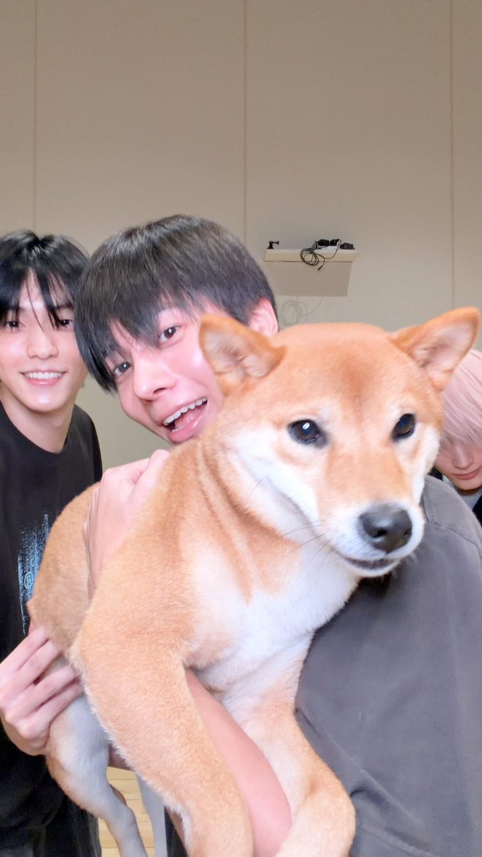 bunnychive's tweet photo. 너무 귀여워 😭😭😭😭😭😭😭😭😭 https://t.co/0lghS57yRO