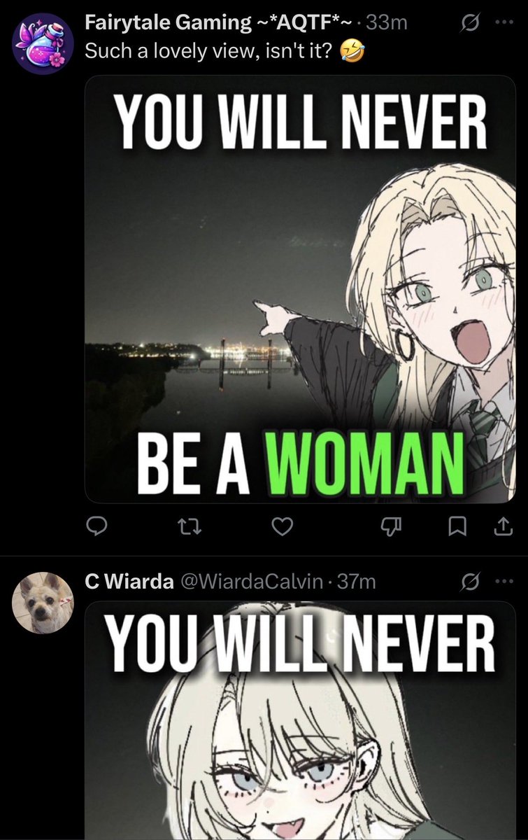 AvaLovelaceX's tweet photo. Who could have predicted that this trend to try and rehabilitate the image of the Harry Potter franchise, is now used as a mascot for transphobes https://t.co/nrGnkjL5GK