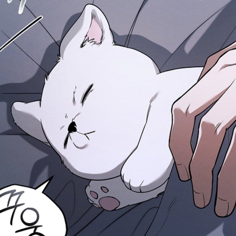 _contreraskari's tweet photo. Chiyoung please let the puppy sleep 🤭

Chiyoung: are you sleeping? 
Heeseong: don’t talk to me, I don’t even have the energy to answer https://t.co/lc6dXlhwzD