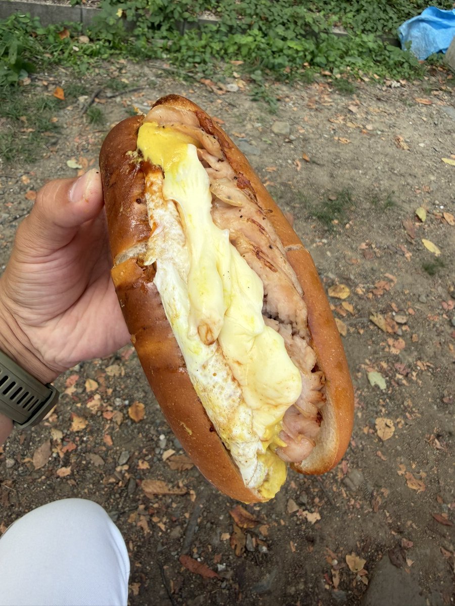 ZC32SC6300hys's tweet photo. 今日は今屋のハンバーガーと夜に鯉ひろまつさんにて鯉料理を食べてきました☺️
贅沢すぎる1日過ごせたと思います😋 https://t.co/83lLPYxTwy