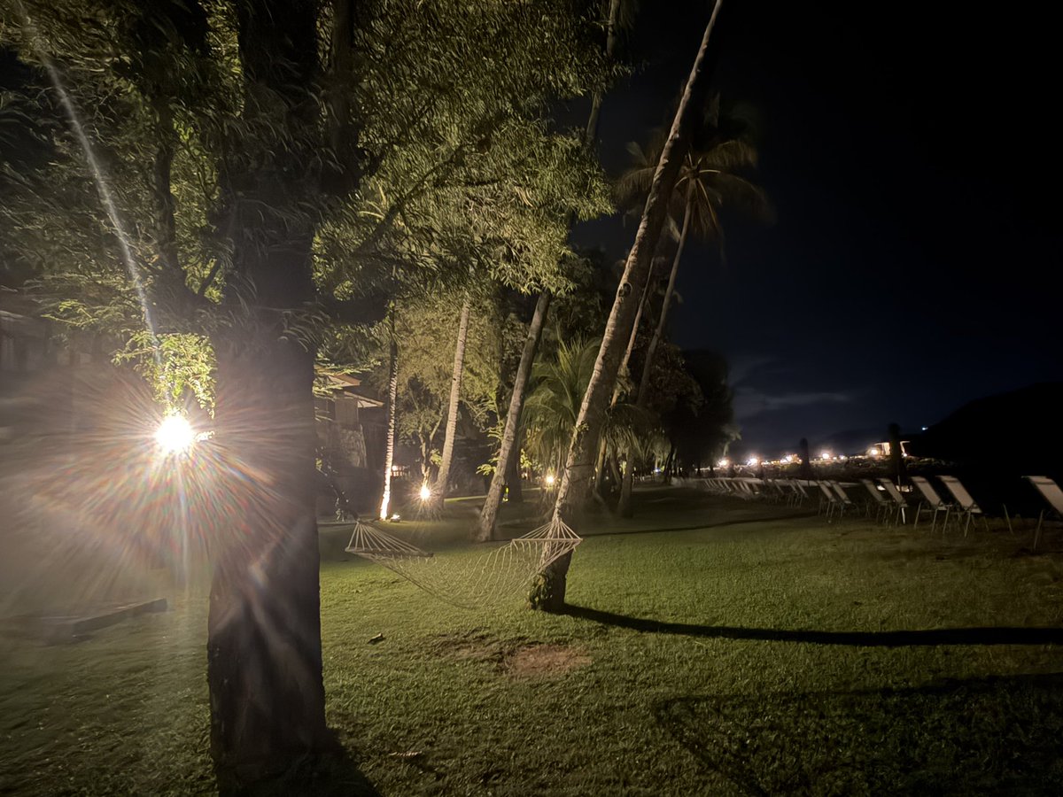 ali_lenie's tweet photo. #SundayNight🏝️🛥️🖤 https://t.co/PqjfpjnbEy