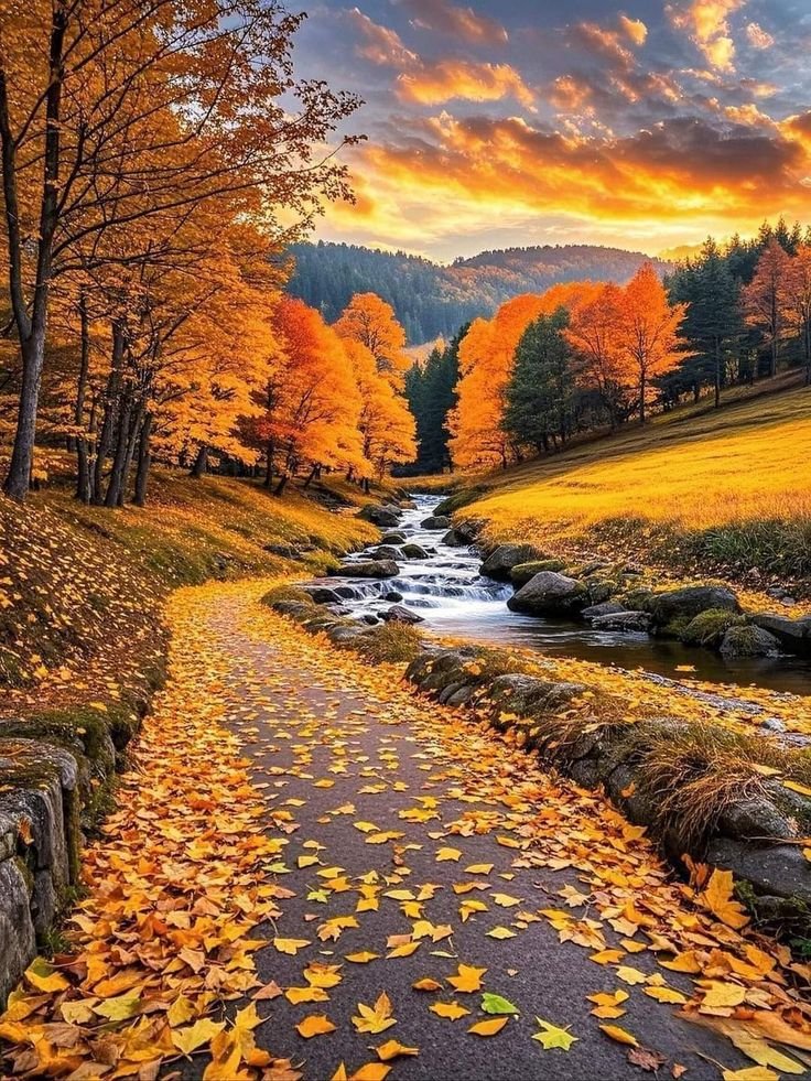 __Earthpictures tweet picture