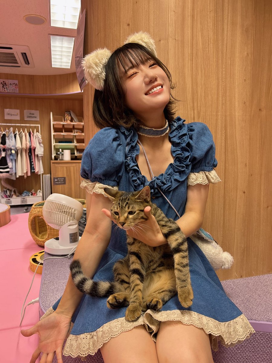 MNMN_MaNaMaNa's tweet photo. 猫カフェBOKUNEKO秋葉原店
一日店長イベント🐈🐾

ありがとうございました🧡

たっぷり癒されてしまいました！
ワンマン頑張れそうです！☺️ https://t.co/dyXYQcVA2D