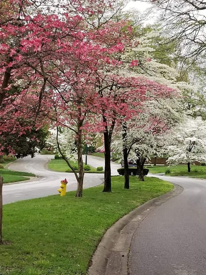 NatureDailyt3's tweet photo. Nature Daily https://t.co/mUSlqEkExh