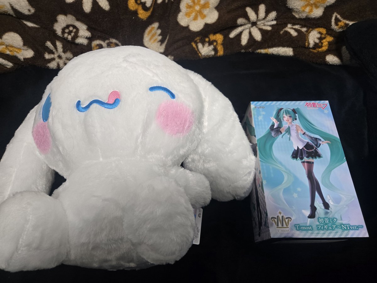 mashiro_ichika's tweet photo. 今日のゲーセンの戦利品
１万円ぐらい使いましたw https://t.co/s6MhpryhCO