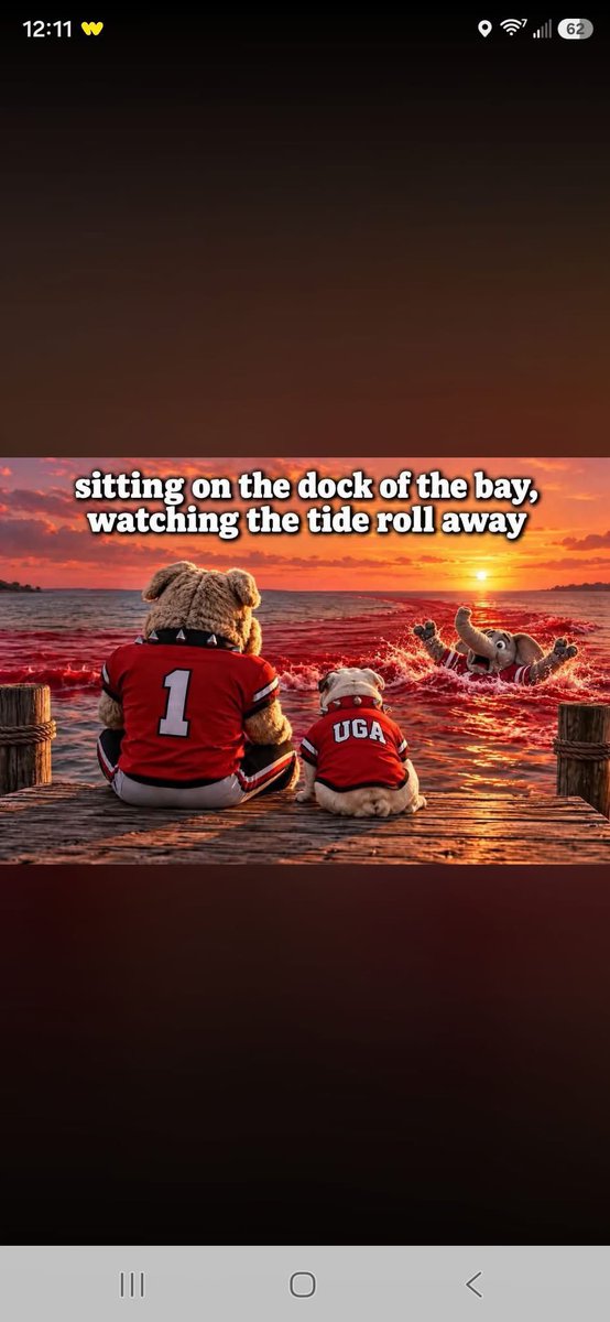 ChristySeguin's tweet photo. 😃😃😃

#GoDawgs https://t.co/pczLiBQ4es