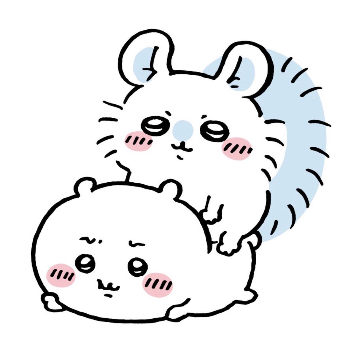 i0yiud's tweet photo. 이거 너무 웃기지않아? 다른건 다 치이표정 따라한다던가 먹을거뺏는다던가 옆에 붙어있는 목적이 보이는데 이건 진짜 아무목적이안느껴지고웃김 https://t.co/hbNBAaq1oX