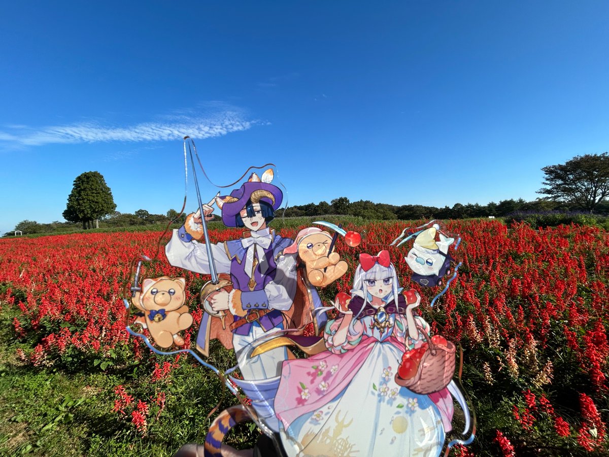 kaina_utatane's tweet photo. さっそく童話あくスヤを連れて景色のいいところ行ってきた！！
カントリーな背景がめっちゃ絵になる！！最高！！可愛い！！ https://t.co/t6W4MvwukW