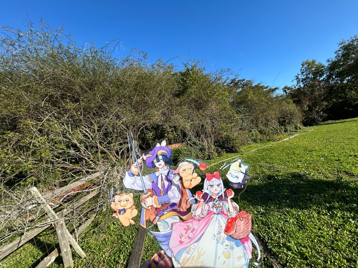 kaina_utatane's tweet photo. さっそく童話あくスヤを連れて景色のいいところ行ってきた！！
カントリーな背景がめっちゃ絵になる！！最高！！可愛い！！ https://t.co/t6W4MvwukW