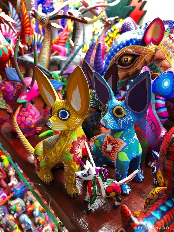 ElenaPoe_'s tweet photo. Cada vez que algún pendejo intenta insultarme diciéndome "cara de artesanía oaxaqueña" con orgullo pienso en el barro negro de Coyotepec o en los alebrijes de madera. 🌸 https://t.co/gIoX6lRBXU