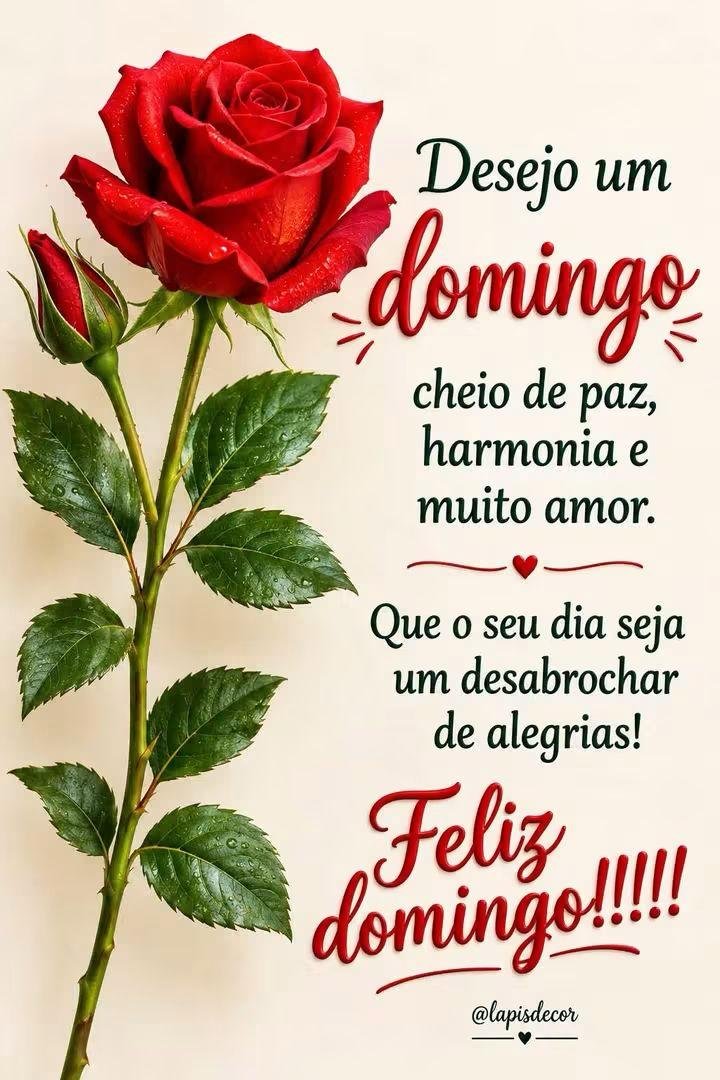 IrapuanR's tweet photo. @DebbiePharma https://t.co/FopZJhXwhb