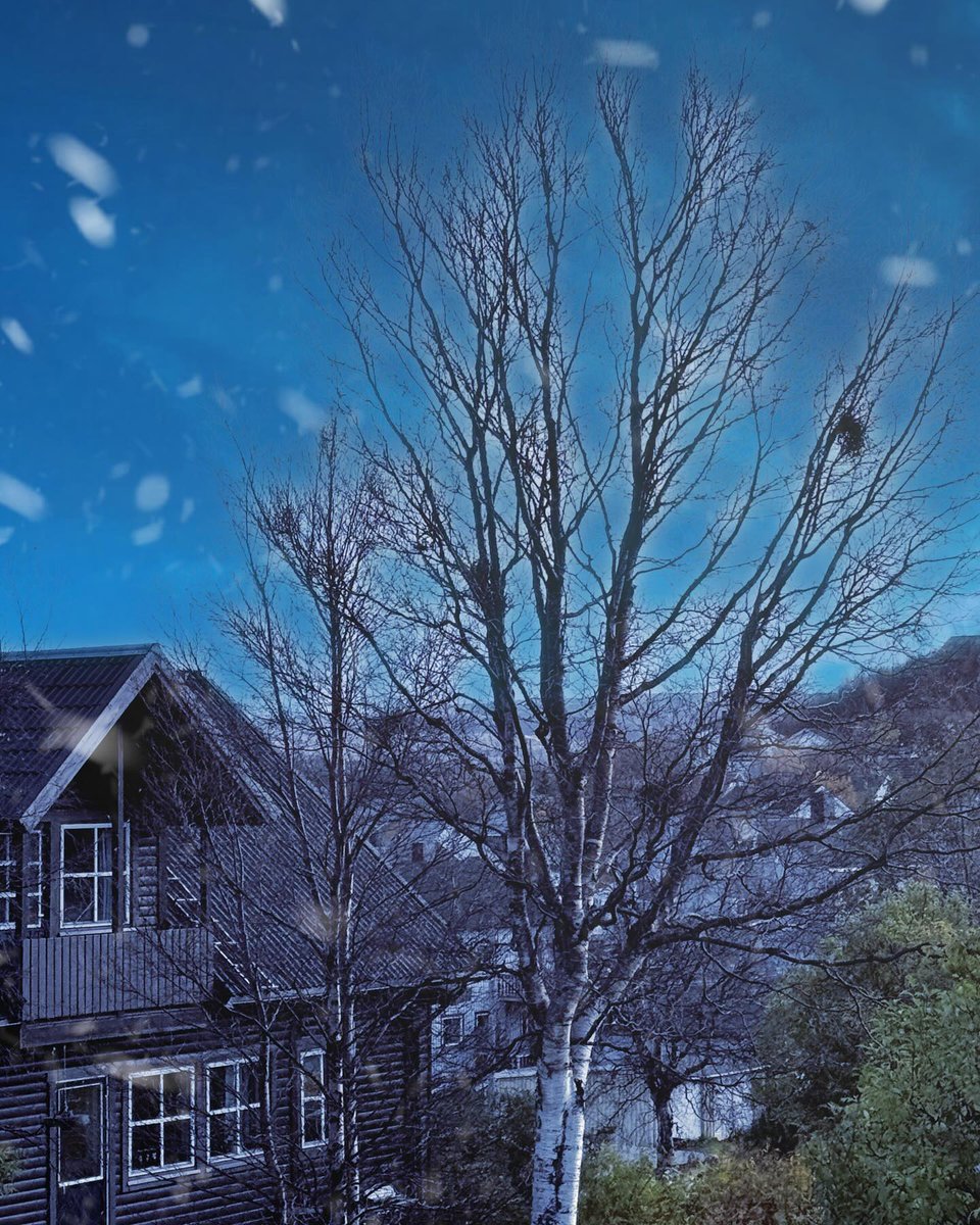 manitari's tweet photo. 키르케네스는 한때 광부들의 산업 도시였다. 이곳에서는 농담처럼 노르웨이의 러시아 도시라고 부른다. https://t.co/arIQfOHt8n