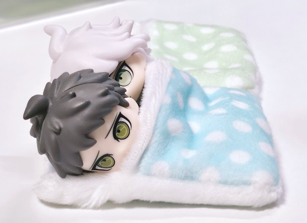 nem0v0dar's tweet photo. ※狛日
🦔「🍀︎…？お前の布団はあっちだぞ？」
🦔「……」
🦔「じゃあ俺がこっち使うな、おやすみ」
🦔「…………………………」 https://t.co/zQxza0MXGQ
