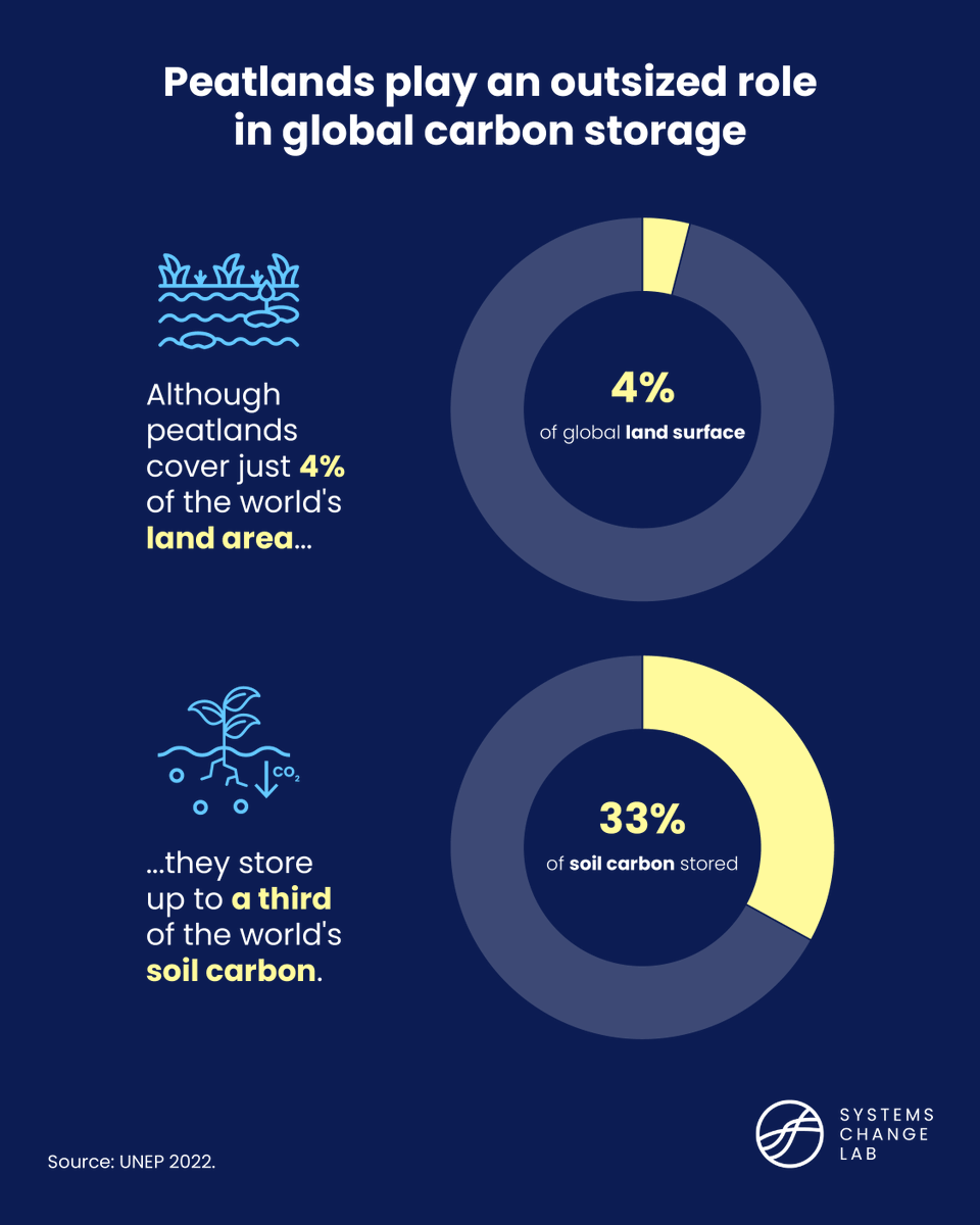 WorldResources's tweet photo. 🌿Peatlands are carbon vaults.

They cover just 4% of the world’s land, yet store up to one-third of all soil carbon. 

Protecting, restoring, and sustainably managing these ecosystems is critical for people, nature, and climate. 

👉Explore the latest data: https://t.co/2bxoZtisk9