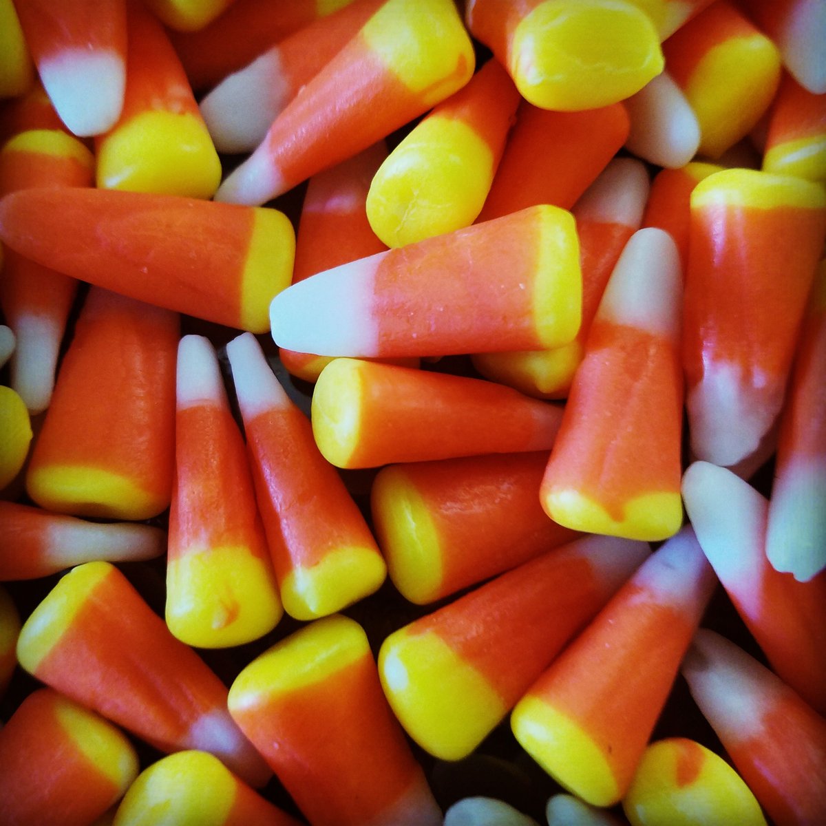 karebearxp's tweet photo. Morning🕷️💜 Sunday's here to slow things down before the week gets spooky again!!

Question of the Day: What's your favorite Halloween candy, no contest, hands down?? 🍬🍫
Ill get so much hate for this but it is in fact Candy Corn & Pumpkins

"Sunday: resting up before the real haunting begins." 😴👻