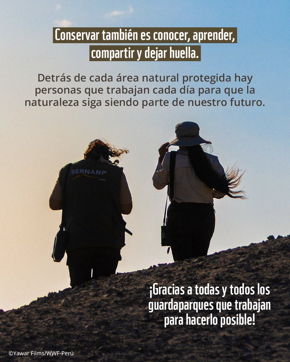 WWF_Peru's tweet photo. Hoy compartimos algunas de sus voces y las razones que los inspiran a seguir trabajando por la conservación de nuestra biodiversidad. 💚
#Guardaparques #Conservación #ÁreasNaturalesProtegidas #WWFPerú https://t.co/aaOChijXZQ