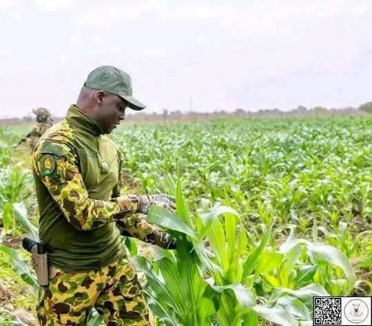 LucaVaran's tweet photo. Le Burkina Faso transforme ses prisonniers en agent de développement économique

Les réformes initiées par le ministre de la justice, Rodrigue Bayala portent leurs fruits.
Les prisonniers sont recyclés et affectés à des tâches, le temps de leur détention afin de faciliter leur réinsertion professionnelle et sociale.

Pour cette saison agricole, les détenus de la Maison d'arrêt et de correction de Baporo, formés aux métiers de l'agriculture ont produit 550 tonnes de céréales, pour une estimation attendue de 500 tonnes.

Ils percevront une indemnité de production qui leur sera reversée à leur sortie.