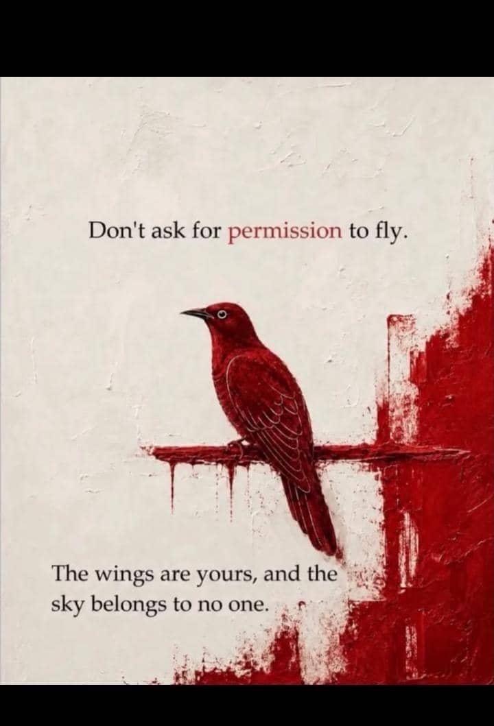 PrettyJSteph's tweet photo. Just fly baby 😊
The Sky is yours honey 💋
Always remember that ❤️ https://t.co/nhun0F8IUQ