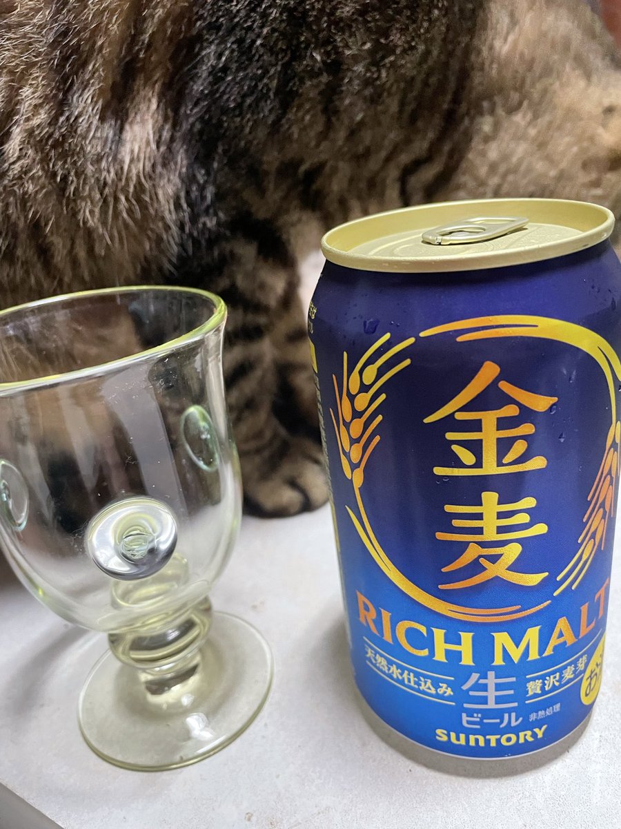 enema02rk's tweet photo. 今日の晩酌は、ビールになった金麦。ちゃんとビールの味がする美味しいビール！！
＃居酒屋はなうた
#馬骨猫部 https://t.co/QXJ2w3nNbL