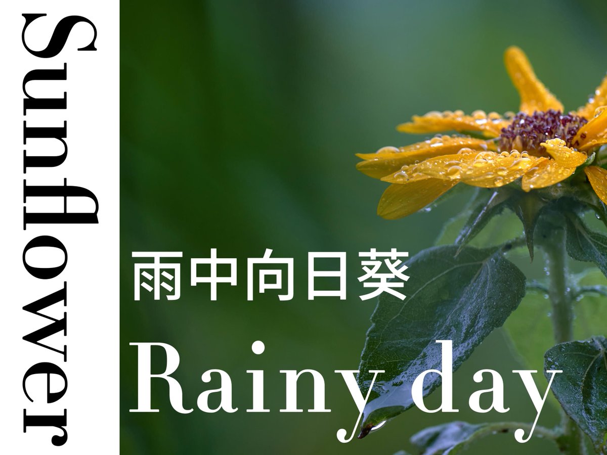 kkami825's tweet photo. [今日の天気は赐拖谙秃雷のように荒れ模様だけど、心は穏やかに过ごそう]， https://t.co/YMJfxaIVIs