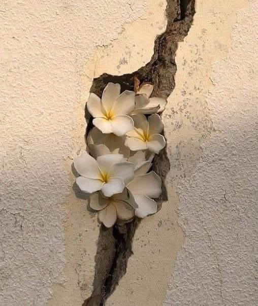 abuahmadalsaadi's tweet photo. لم أكن شخصاً يشغله الانتقام، غير أن الألم أحدث
خز و مع
ثغر ة في قلبي، أحسها في دخول الأنفاس وخروجها،
في الصدر لا يتوقف، ونار ملتهبة تمتد ّ إلى ظاهر ثيابي، ينفثها
موقد يسكن جوفي
من #رواية_طلاء_بلون_الفقد
للدكتورة #خولة_سليقة
@Drkhslika https://t.co/whXeiPyJ8i