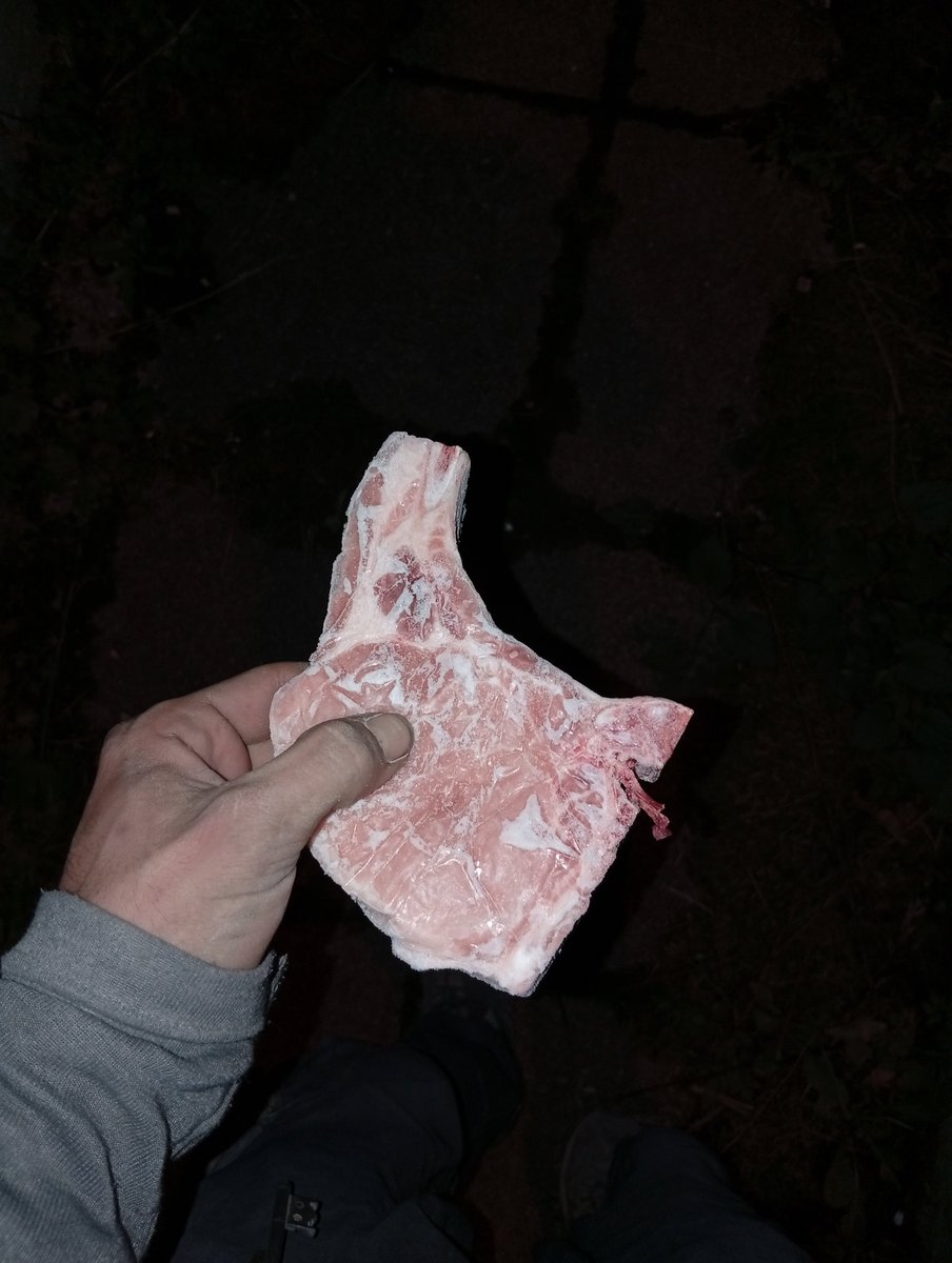 10lettante's tweet photo. j'ai aidé la vieille voisine avec son imprimante et pour me remercier elle a sorti une côte de porc du congélateur et me l'a donnée sacom ok merci ig https://t.co/tSnQcpbsSQ