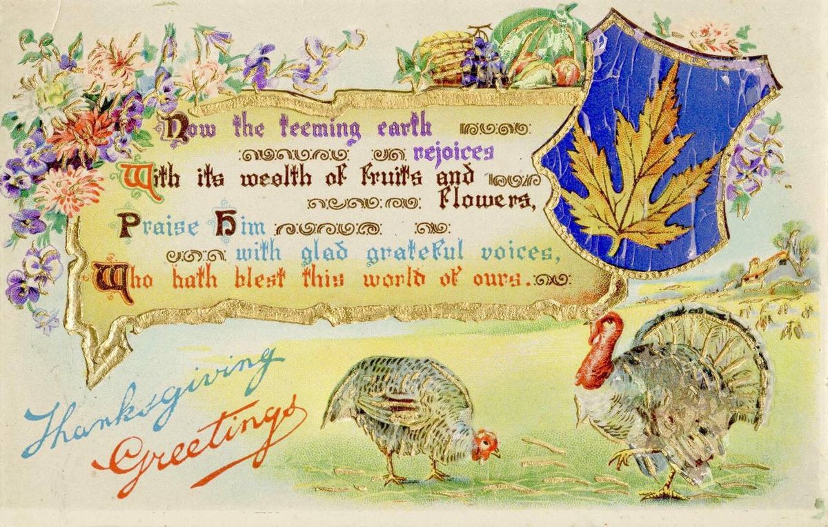 Canada_Unknown's tweet photo. Happy Thanksgiving Sunday! 🫡🍁🍂🦃 https://t.co/dIxOcSIX1f