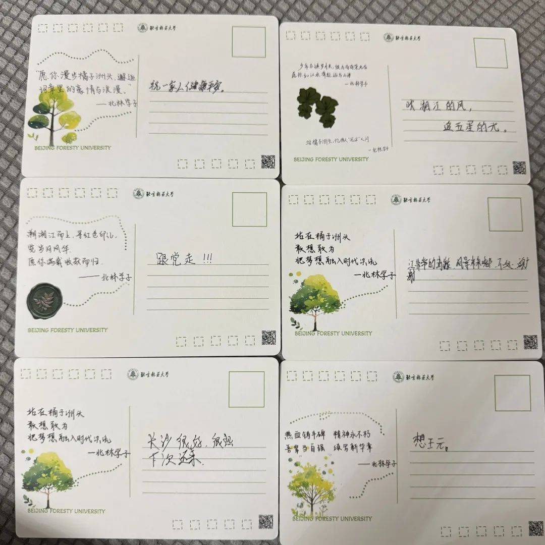 x217ben's tweet photo. [付呈幢に関する新情報！] https://t.co/UyT6b53rPo