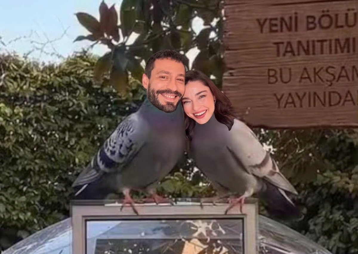 AyKin_DefKAD's tweet photo. 😍🤭😂 Love Birds 🕊🩷🕊✨️
#DefKAD #AyKin #MuhtemelAşk https://t.co/XO07pD2QTH