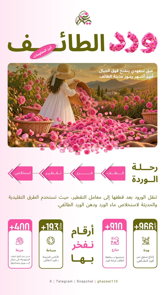 Ghazeel110's tweet photo. الحمد لله على ختام رحلة ثرية بالتعلم والإبداع. أشارككم حصاد تجربتي في #معسكرات_ستيلر ، بكل امتنان لمن كان له أثر فيها 🤍. https://t.co/VfQqWqyrMq