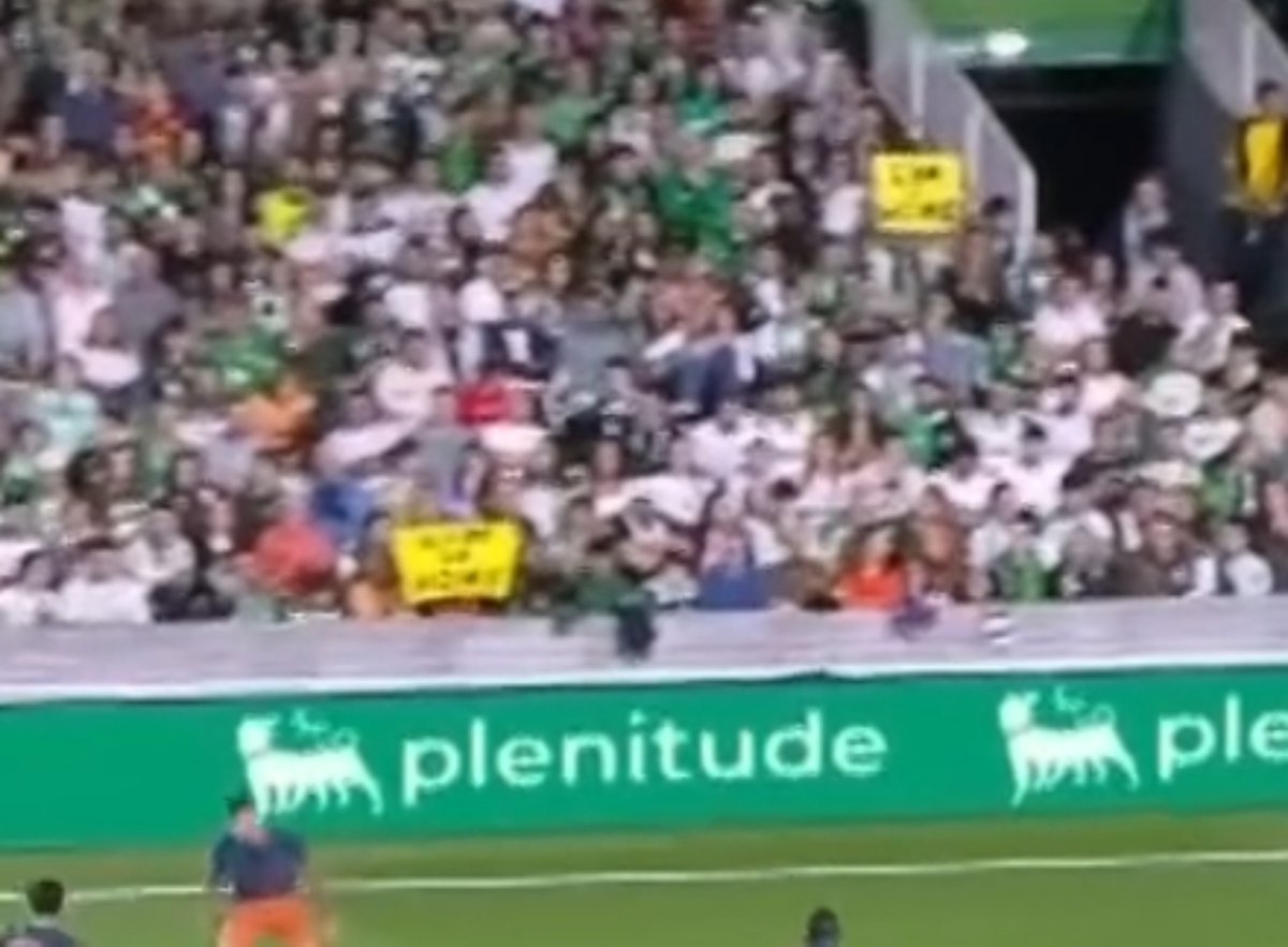 pulpista's tweet photo. Toda la grada del Sardinero cantando "Peter vete ya" y aficionados sacando el cartel de "Lim Go Home".

Absoluto honor💚🤍👏🏻 https://t.co/G2xC1rpOqJ