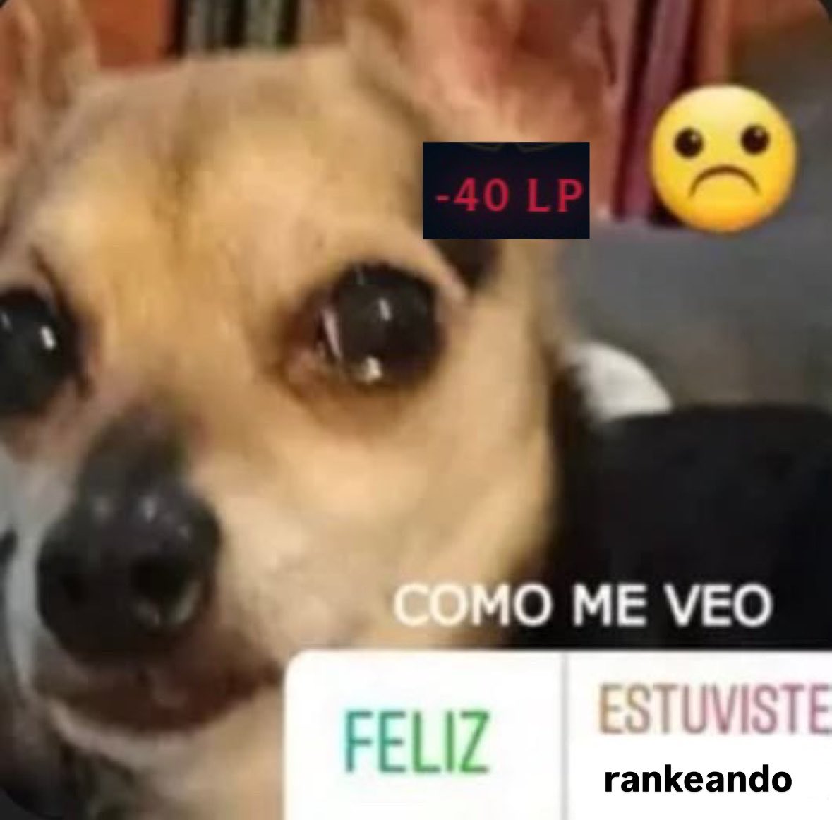 __kenko's tweet photo. la vida últimamente https://t.co/UndUVpzgvE