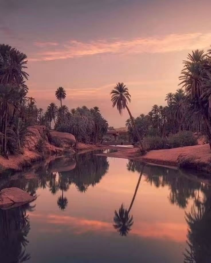 Algerian_desert tweet picture
