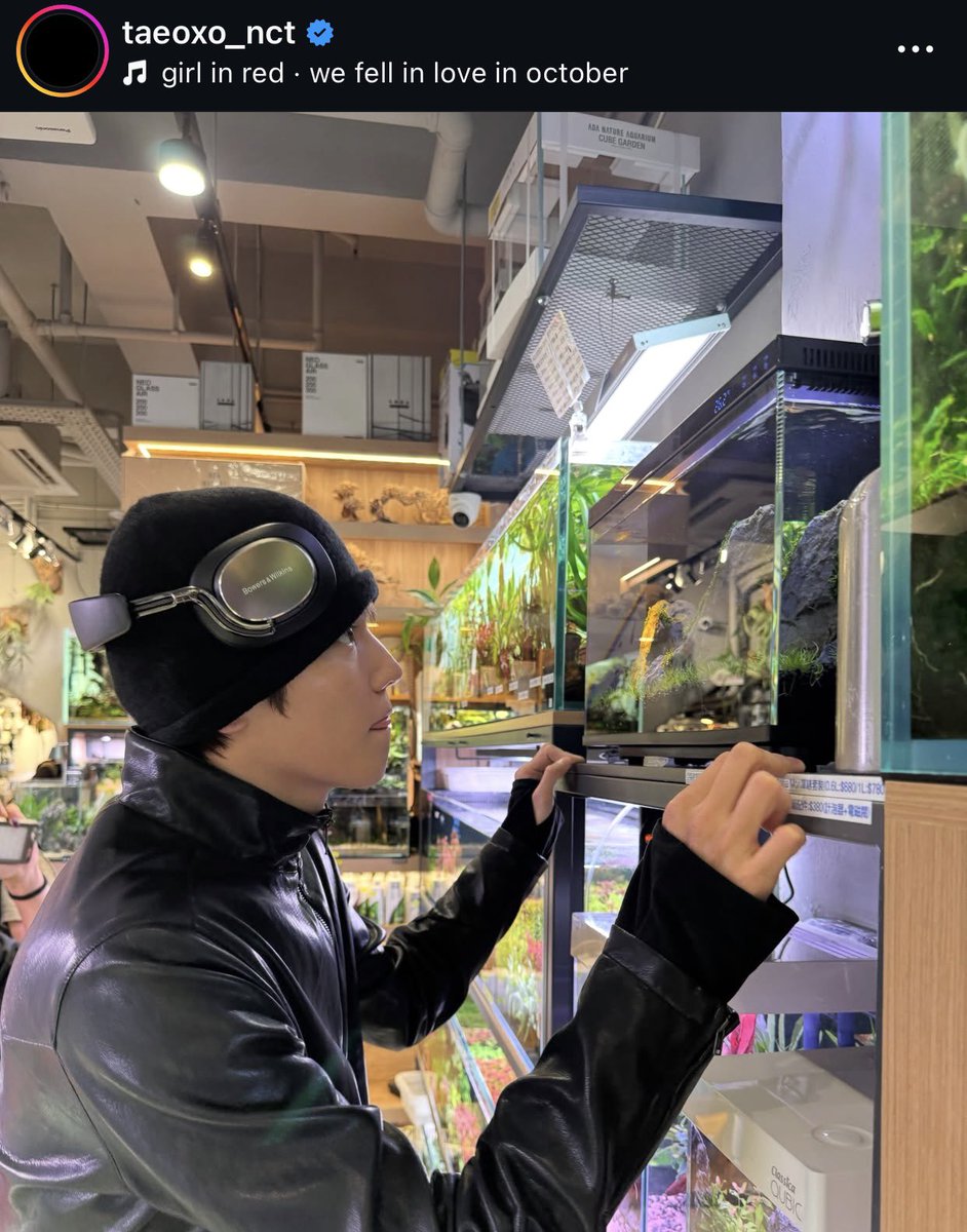 neotfy's tweet photo. taeyong ally https://t.co/hiTcesnMN1