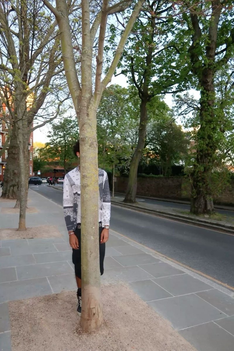 VoteKaScene's tweet photo. Hello @DCPNewDelhi 

We see a man hiding behind the tree. 

What do you see - "absolutely nothing"?

@RoflGandhi_ https://t.co/hhRwuOxc7J