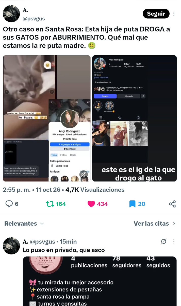 LENlenkiii's tweet photo. @lvsvev @psvgus Está pelotuda si es mayor de edad miren lo que hizo la hdp https://t.co/6jEKbnzAGx