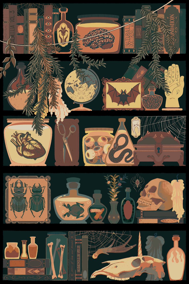 antiquedeuce's tweet photo. cabinet of curiosities ✹ cmm https://t.co/XqJ0JAmTb6