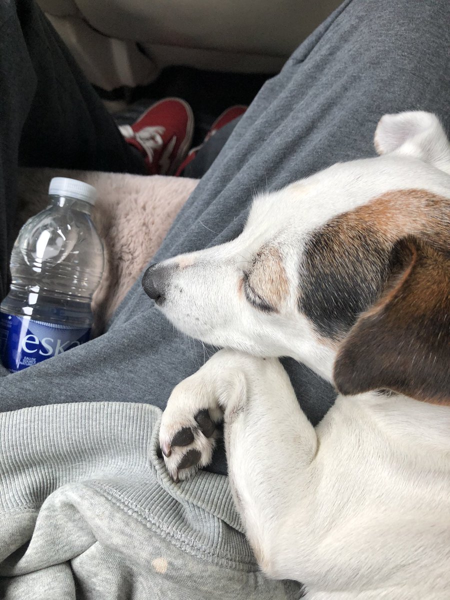 SnoopyLuvsUuu's tweet photo. me n my dawg 🐶 https://t.co/LfaMdfBzxL